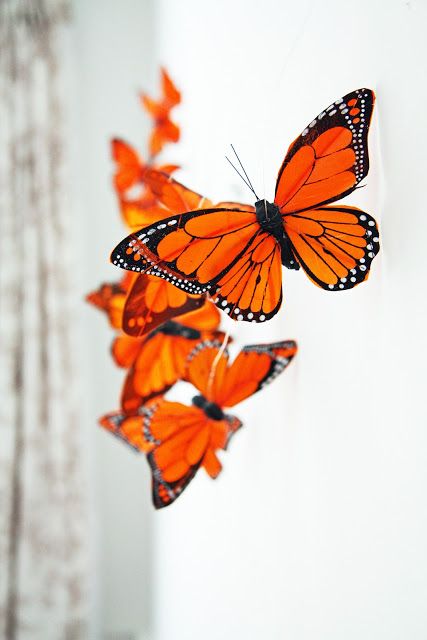 A Country Farmhouse: Butterfly Dreams - a butterfly garland hanging over baby's bed Butterfly Garland, Ink Inspiration, Orange Butterfly, Orange Walls, Rainbow Aesthetic, Orange You Glad, Orange Aesthetic, Picture Collage Wall, Orange Wallpaper