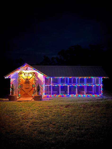 Chicken Coop Christmas Lights, Chicken Coop With Lights, Chicken Coop Christmas Decorations, Chicken Coop Solar Lights, Chicken Coop Lights, Chicken Coop Lighting Ideas, Christmas Chicken Coop, Chicken Coop Colors, Christmas Chicken