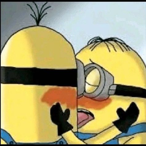 Cute Minions, Memes Random, Goofy Pictures, Very Funny Pictures, Silly Pictures, Funny Reaction Pictures, Oui Oui, Really Funny Pictures, Funny Laugh