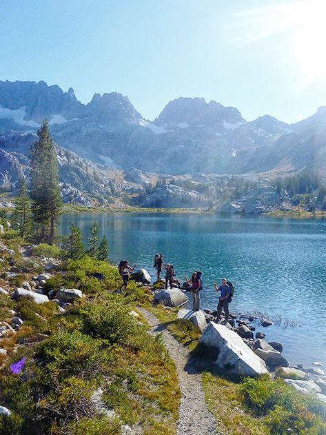 Garden Betty, Eastern Sierras, Lake Summer, Lake Garden, California Garden, Mammoth Lakes, Google Search Console, Good Weekend, Sometimes I Wonder