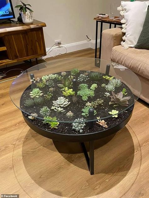 Plant Table Ideas, Coffee Table Hacks, Terrarium Table, Ikea Coffee Table, Coffee Table Plants, Rustic Wooden Table, Garden Coffee Table, Planter Table, Home Decor Hacks