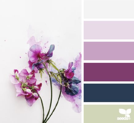 flora hues Design Seeds Color Palette, Seeds Color, Color Concept, Color Palate, Design Seeds, Color Palette Design, Color Balance, Color Stories, Color Blending