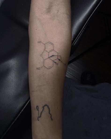 Chemical Structure Tattoo, Chemical Structure, Tattoos, Pins