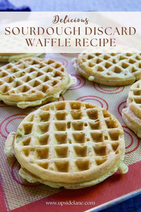 The Easiest Vegan Sourdough Discard Waffle Recipe Vegan Sourdough Waffles, Vegan Sourdough Discard Recipes, Discard Waffle Recipe, Waffle Recipe Crispy, Edges Fluffy, Discard Waffles, Discard Recipe, Vegan Waffles, Sourdough Pancakes