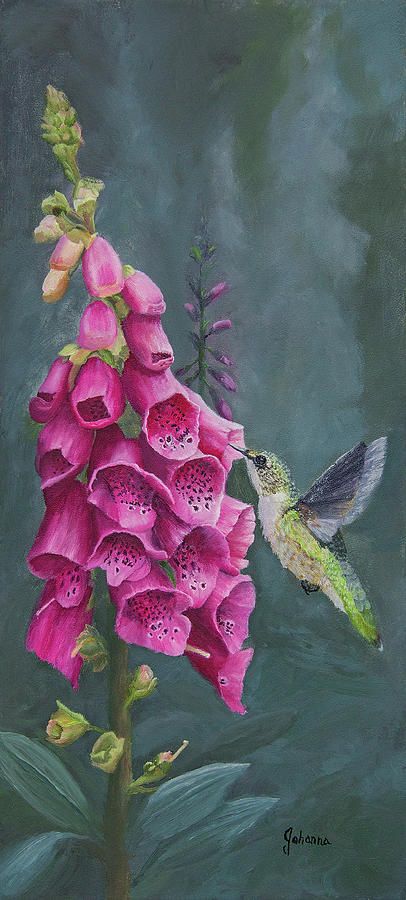 Foxglove Painting, Foxglove Garden, Blessing Others, Flowers For Painting, Seascapes Art, Autumn Kitchen, Bye Bye Birdie, Mary Had A Little Lamb, Ideas For Flowers