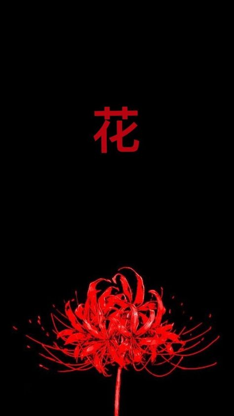 Wallpaper Iphone Cute Anime, Red Spider Lily Wallpaper, Tokyo Ghoul Flower, Tato Phoenix, Japanese Wallpaper, Japanese Tattoo Symbols, Japanese Wallpaper Iphone, Lily Wallpaper, Red Spider Lily