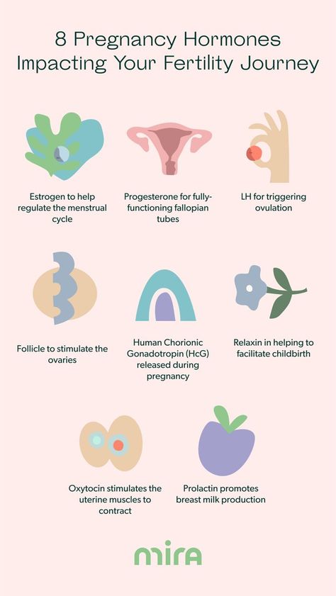 Pregnancy Hormones Impacting Your Fertility Journey Ovulation Cycle, Getting Pregnant Tips, Fertility Tracker, Fertility Awareness, Fertility Health, Ivf Success, Fertility Diet, Pregnancy Hormones, Pregnancy Guide