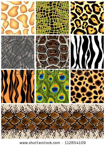 Patterns In Animals, Textile Pattern Design Fashion, Motif Art Deco, Animal Print Wallpaper, Graphics Drawing, Textile Pattern Design, Animal Patterns, Animal Prints Pattern, Arte Sketchbook