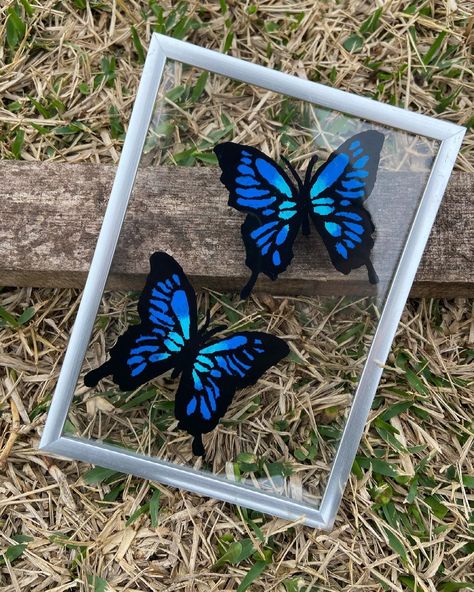 Blue Morpho Butterfly, Butterfly Drawing, Cute Doodles Drawings, Small Canvas Art, School Art Projects, Stained Glass Projects, Still Waiting, Easy Diy Art, Coloring Book Art