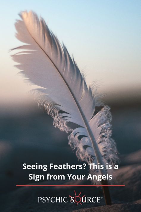 White Feather Meaning, Destiny Meaning, Finding Feathers, Feather Symbolism, Feather Meaning, Love Articles, Angel Cards Reading, Have Faith In Yourself, Spiritual Path