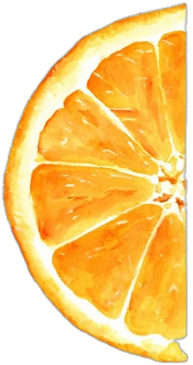 Orange Slice Watercolor, Watercolour Fruit Tutorial, Painting Oranges Fruit, Easy Gouache Paintings For Beginners, Food Art Painting Watercolour, Clementine Watercolor, Veggie Watercolor, Orange Slice Painting, Fruit Painting Easy