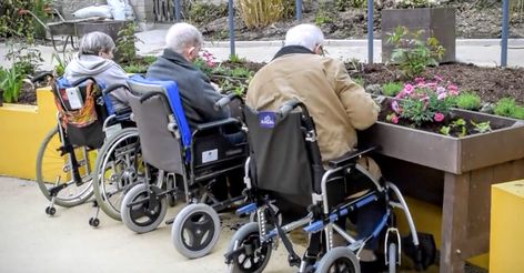 Wheelchair Garden, Therapeutic Garden, Accessible Garden, Sensory Gardens, Senior Living Activities, Healing Garden, Sensory Garden, Therapeutic Activities, Elderly Home