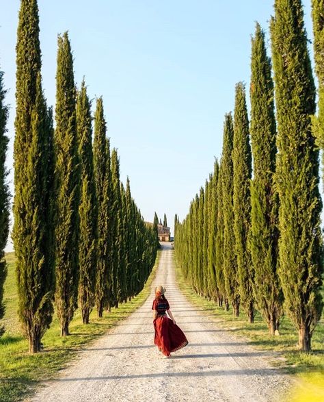 Val d’Orcia, Tuscany Source: Paolo Balsamo, Instagram Tuscany Instagram Pictures, Val D’orcia Tuscany, Vineyard Couple Photoshoot, Tuscany Photo Ideas, Tuscany Photoshoot, Vineyard Photoshoot, Tuscany Aesthetic, Tuscany Summer, Italy Pics