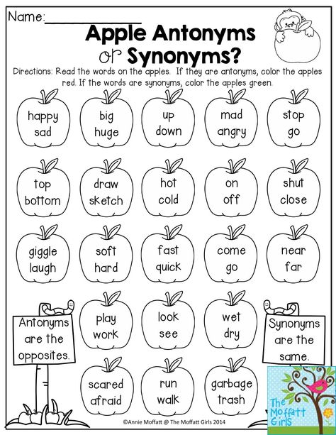 Apple Antonyms or Synonyms- Read the pairs of words and decide if they are antonyms or synonyms. Good refresher in the Back to School NO PREP Packet for 2nd Grade! Synonyms Worksheet, Antonyms Worksheet, 2nd Grade Grammar, Synonyms And Antonyms, 2nd Grade Ela, 2nd Grade Worksheets, English Worksheets For Kids, 2nd Grade Reading, 1st Grade Worksheets