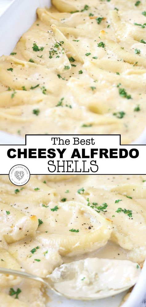 Alfredo Shells, Alfredo Dinner, Jumbo Shells, Shell Pasta Recipes, Pasta With Alfredo Sauce, Jumbo Pasta Shells, Smart School House, Shells Recipe, Cheese Stuffed Shells