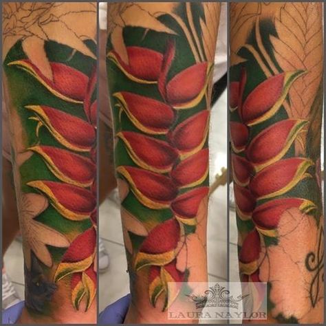 Heliconia Lobster Claw Plant Tattoo Tropical Heliconia Tattoo, Lobster Claw Plant, Hawaiian Tattoos, Tropical Tattoo, Hawaii Tattoos, Indoor Plants Low Light, Trendy Plants, Hawaiian Tattoo, Plant Tattoo