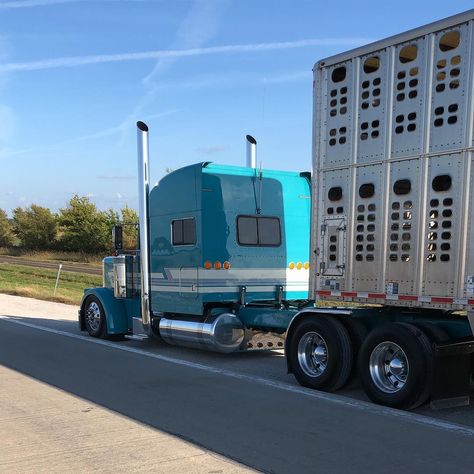 Peterbilt Cake, 389 Peterbilt, Peterbilt Logo, Bull Hauler, Custom Peterbilt, Peterbilt 386, Peterbilt 579, Quick Pics, Peterbilt 359