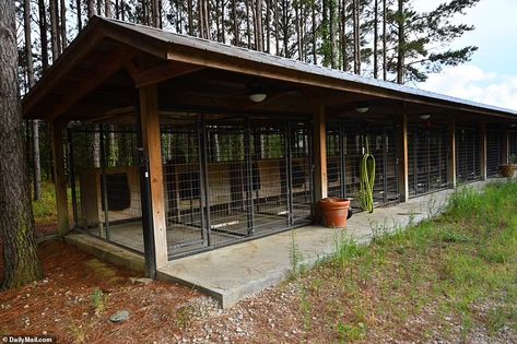 Dog Breeders Kennels, Dog Kennel And Run, Dog Boarding Ideas, Backyard Dog Area, Animal Shelter Design, Kennel Ideas Outdoor, Dog Kennel Outside, Dog Boarding Facility, Dog Boarding Kennels