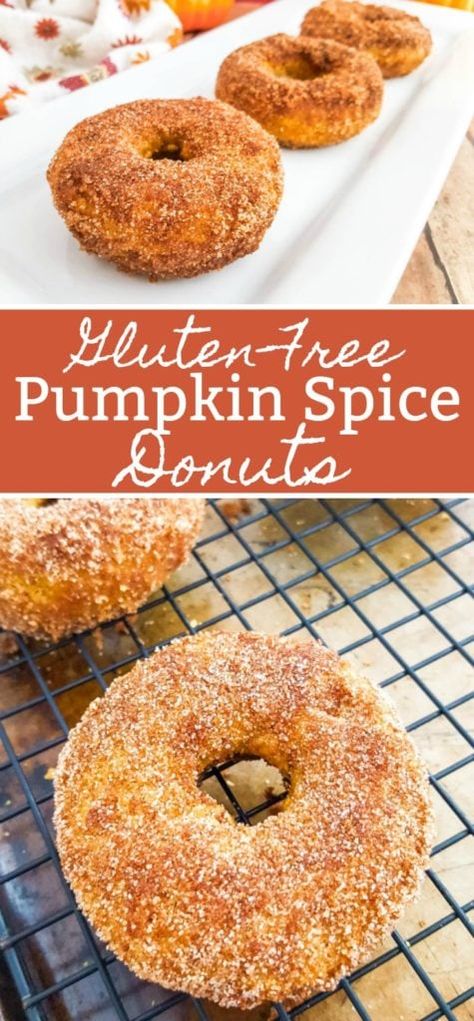 Gluten-Free Pumpkin Spice Donuts Recipe | Baked Pumpkin Donuts Pumpkin Spice Donuts Recipe, Pumpkin Donuts Baked, Easy Donut Recipe Baked, Gluten Free Donut Recipe, Pumpkin Donuts Recipe, Gluten Free Pumpkin Spice, Easy Donut Recipe, Dairy Free Pumpkin, Pumpkin Spice Donut