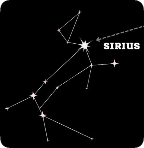 Canis Major Aesthetic, Sirius Constellation Wallpaper, Sirius Black Constellation, Sirius Star Constellations, Canis Major Tattoo, Sirius Tattoo, Sirius Star Tattoo, Sirius Constellation Tattoo, Sirius Constellation