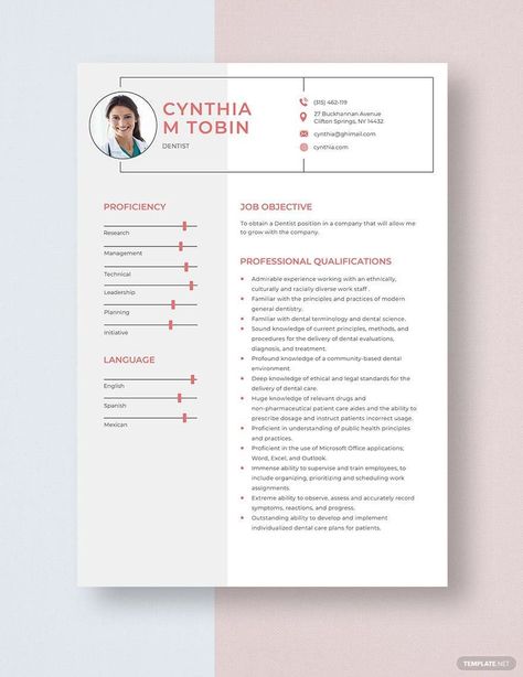 Dental Resume, Dentist Resume, Teacher Resume Template Free, Preschool Teacher Resume, Elementary Teacher Resume, Resume Generator, First Job Resume, Cv Example, Project Manager Resume