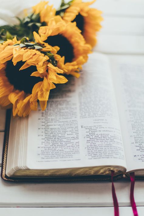 Yellow flower on book page photo – Free Bible Image on Unsplash Free Bible Images, Bible Pictures, Book Flowers, Christian Pictures, Free Bible, Coffee And Books, Books Of The Bible, Happy Colors, Daily Devotional