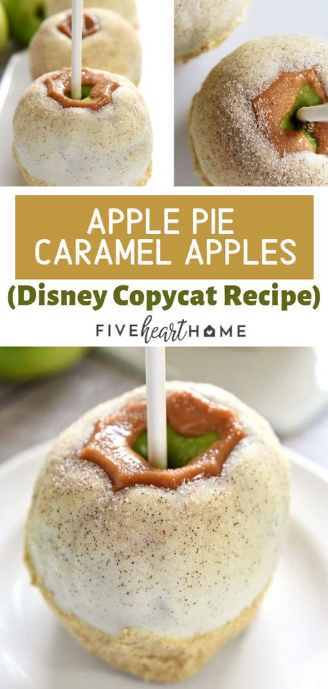 Apple Pie Caramel Apple, Carmel Apple Recipe, Caramel Apple Pie Recipe, Caramel Apple Pie Recipes, Gourmet Candy Apples, Chocolate Caramel Apples, Gourmet Caramel Apples, Candy Apple Recipe, Caramel Apples Homemade