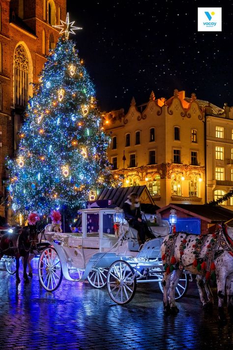 Krakow Christmas, Krakow Christmas Market, John Hammond, Poland Culture, Luxury Christmas Decor, Christmas In Germany, Paris Winter, Travel Flight, Polish Christmas