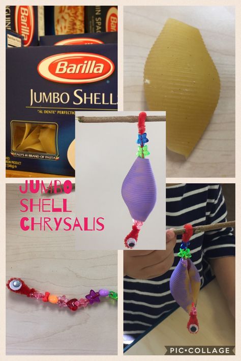 Jumbo shell chrysalis craft Butterfly Chrysalis Craft, Chrysalis Craft Preschool, Cacoon Crafts For Preschool, Chrysalis Craft, Chrysalis Art, Spring Theme Preschool, Butterflies Activities, Insects Preschool, Bugs Preschool