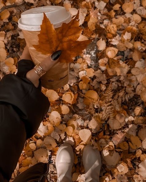 Walking Outside Aesthetic, Spookie Season, Spooky Fall Aesthetic, Halloween Aesthetic Spooky, Fall Core, Fall Walk, Fall Aesthetics, Studera Motivation, October Autumn