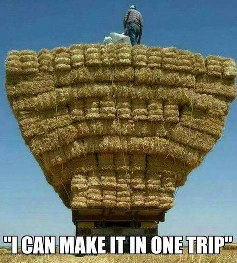 Farm Life Quotes, Farm Jokes, Template Meme, Farm Humor, Country Girl Life, Country Jokes, Farm Kids, Country Girl Quotes, Country Memes