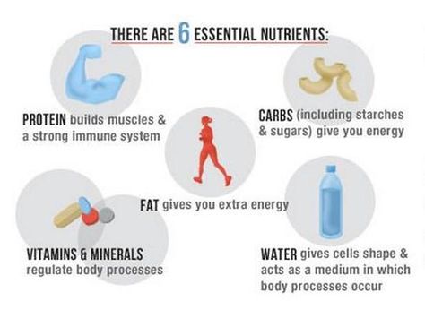 M L on Twitter: "The 6 Essential Nutrients learned about today in @fit2Bsmart's class! Is anyone else more of a visual learner? #cofcfit #physed #nutrition https://t.co/lPEUWfqzwM" 6 Essential Nutrients, Nutrition School, Strawberry Nutrition Facts, Nutrition Classes, Vitamins For Energy, Family And Consumer Science, Nutrition Course, Micro Nutrients, Health Class