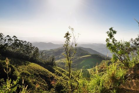 Collines verdoyantes autour de Puntarenas au Costa Rica : Les paysages du Costa Rica Puntarenas, Costa Rica, Natural Landmarks, Travel