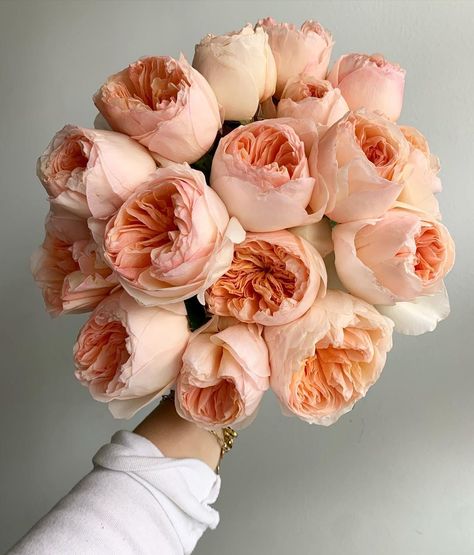 Light Peach Flowers, Peonies Bouquet Aesthetic, Peach Garden Rose, Garden Roses Bouquet, Apricot Garden, Peachy Flowers, Peach Peony, Peach Peonies, Flower Therapy