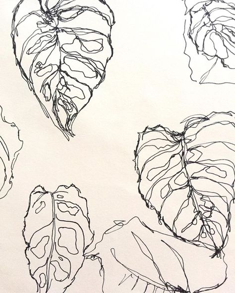 Plant Contour Drawing, Ink Plant Drawing, Pen Leaf Drawing, Leaf Patterns Design, Botanical Pen Drawing, One Line Drawing Leaf, One Line Leaf Drawing, Leaf Pen Drawing, Leaf Pattern Drawing