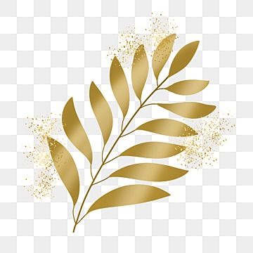 Golden Leaves Aesthetic, Plant Green Aesthetic, Clipart Aesthetic, Aesthetic Leaf, Leaf Aesthetic, Aesthetic Clipart, Botanical Aesthetic, Plant Clipart, Aesthetic Plant