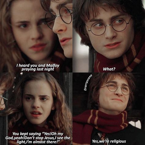 My Possessive Alpha| BxB - Chapter one - Wattpad Glume Harry Potter, Funny Harry Potter Jokes, Harry Potter Memes Hilarious, Gay Harry Potter, Harry Potter Feels, Harry Potter Puns, Images Harry Potter, Harry Potter Comics, Harry Potter Ships