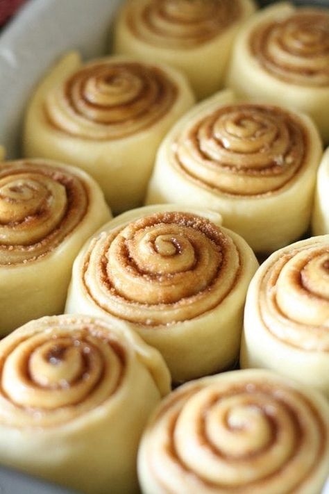 risen Cinnamon Rolls in baking pan Cinnabon Copycat, Copycat Cinnabon, Cinnabon Recipe, Best Cinnamon Roll Recipe, Cinnabon Rolls, Cinnabon Cinnamon Rolls, Clone Recipe, Best Cinnamon Rolls, Sweet Rolls