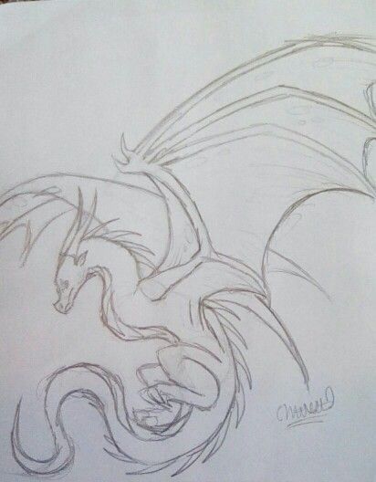 Old Dragon Drawings - For more like this find @mockiejay "My art And Drawings" board! Fantasy Animal Drawing Ideas, Roaring Dragon Drawing, Drawing Of Dragons, Dragon Profile Drawing, Drawings Of A Dragon, Animal Ideas Drawing, Drawings Of Dragons Easy, Coatyl Dragon Drawing, Dragon Body Sketch