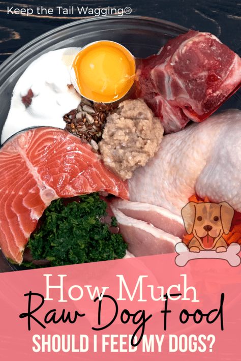 How-Much-Raw-Dog-Food-Should-I-Feed-to-My-Dogs-Pinterest | Keep the Tail Wagging Dog Raw Diet, Raw Feeding For Dogs, Home Cooked Dog Food, Raw Dog Food Diet, Raw Pet Food, Make Dog Food, Dogs Tips, Healthy Dog Treats Homemade, Tail Wagging