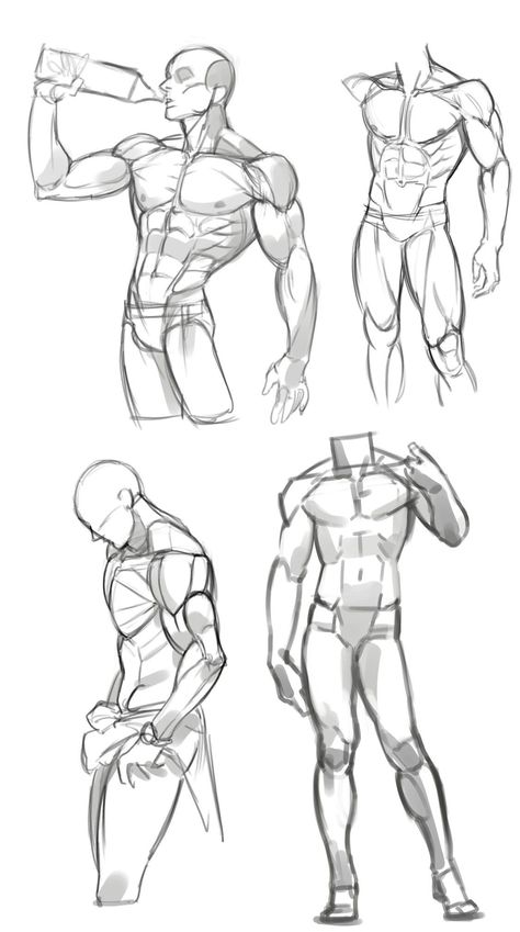 Muscle Figure Reference, Man Physique Sketch, Muscle Figure Drawing, Drawing Reference Poses Male Muscle, Muscular Male Poses Drawing Reference, Male Anotamy Poses, Male Antonamy Drawing, Back Muscle Drawing, Muscles Reference Drawing