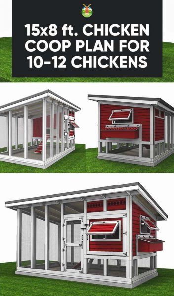 Build your own chicken coop with these 15x8 feet chicken coop plans for 10 up to 12 chickens. Chicken House Plans, Build Your Own Chicken Coop, Chicken Coop Blueprints, Urban Chicken Farming, Chicken Raising, Chicken Barn, Portable Chicken Coop, Chicken Coup, Diy Chicken Coop Plans