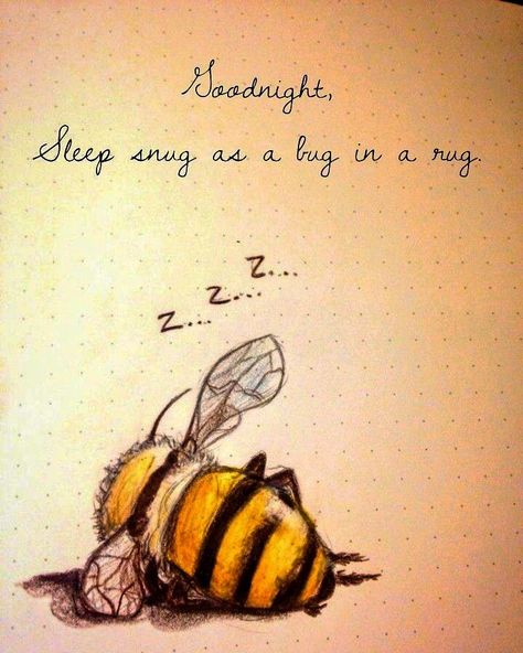 Sleep Drawing, Journal Drawings, Bee Quotes, I Love Bees, Never Mind, Perfect For Me, A Bug, Bee Decor, Bee Art