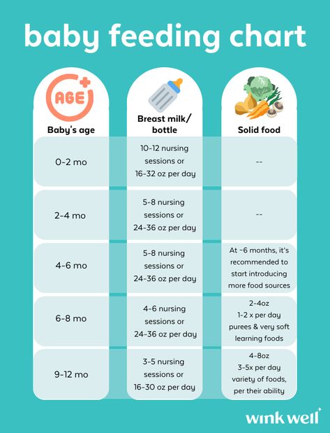 Ever wondered what or how much your baby should be eating? Save this post to refer to as they grow! Breastmilk and/or formula makes up a huge portion of their nutritional content for the first year but at around six months you can start introducing additional sources of nutrition to your baby. Choose solids that are of nutritional benefits to your baby! It’s important to remember that your baby still benefits from breast milk and/or formula even if they’re entering the wonderful world of solids. How Much Formula, Infant Feeding Guide, Baby Feeding Chart, Newborn Baby Tips, Baby D, Baby Care Tips, Breastfeeding And Pumping, Baby #5, Baby Eating