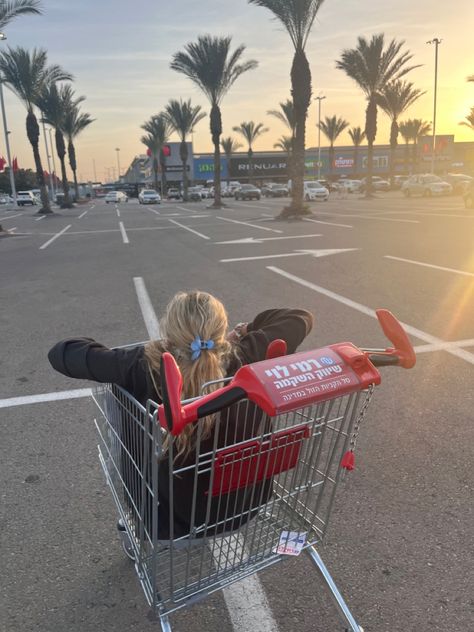 People In Shopping Carts Aesthetic, Shopping Trolley Aesthetic, Shopping Cart Aesthetic, Walmart Shopping Cart, Cart Aesthetic, Target Aesthetic, Wattpad Character, Scary Dog, Supermarket Trolley