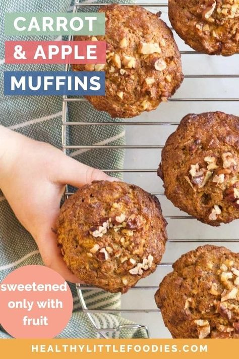 Carrot and Apple Muffins Carrot Apple Muffins, Apple Carrot Muffins, Apple Muffins Healthy, Toddler Muffins, Baby Muffins, Fruit Muffins, Healthy Muffin, Carrot Muffins, Apple Muffins