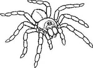 tarantula spider art - Yahoo Image Search results Spider Unit, Art Insects, Tarantula Spider, Spider Drawing, Big Spiders, Spider Art, Wood Carvings, Spiders, Bugs