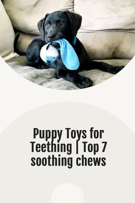 Dog Teething Remedies, Teething Puppy Remedies, Teething Puppy Tips, Puppy Teething Remedies Frozen, Puppy Teething Remedies, Ideas For Puppies, Chew Toys For Puppies, Hound Dog Puppies, Best Teething Toys