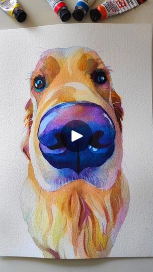 41K views · 6.7K reactions | Building up the layers on this golden 🧡💜

#goldenretriever #paintingprocess #artreel #dogartists #watercolors | Sam Coleman | Lofi Latte · Strawberry Toast :) Husky Watercolor Painting, Husky Illustration, 2024 Watercolor, Happy Husky, Watercolour And Pencil, Irish Painters, Corgi Smile, Dog Watercolor Painting, Watercolor Dog Portrait