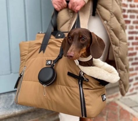 Luxury Dog Carrier, Dog Travel Bed, Dog Travel Carrier, Designer Dog Carriers, Dog Travel Bag, Dog Carrier Bag, Travel Carrier, Dog Car Seats, Modern Dog